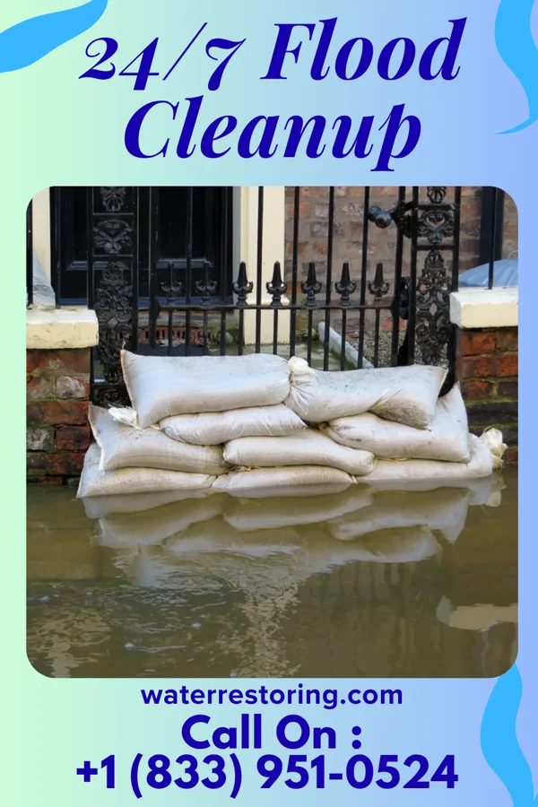 24/7 Flood Cleanup in Leland Grove, IL