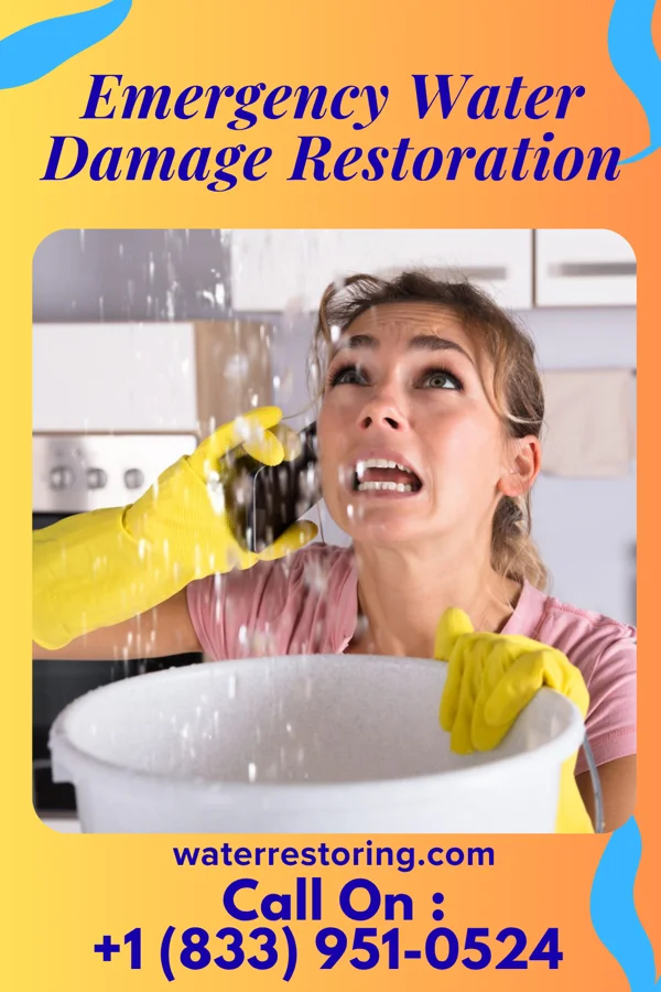 Emergency Water Damage Restoration in Leland Grove, IL