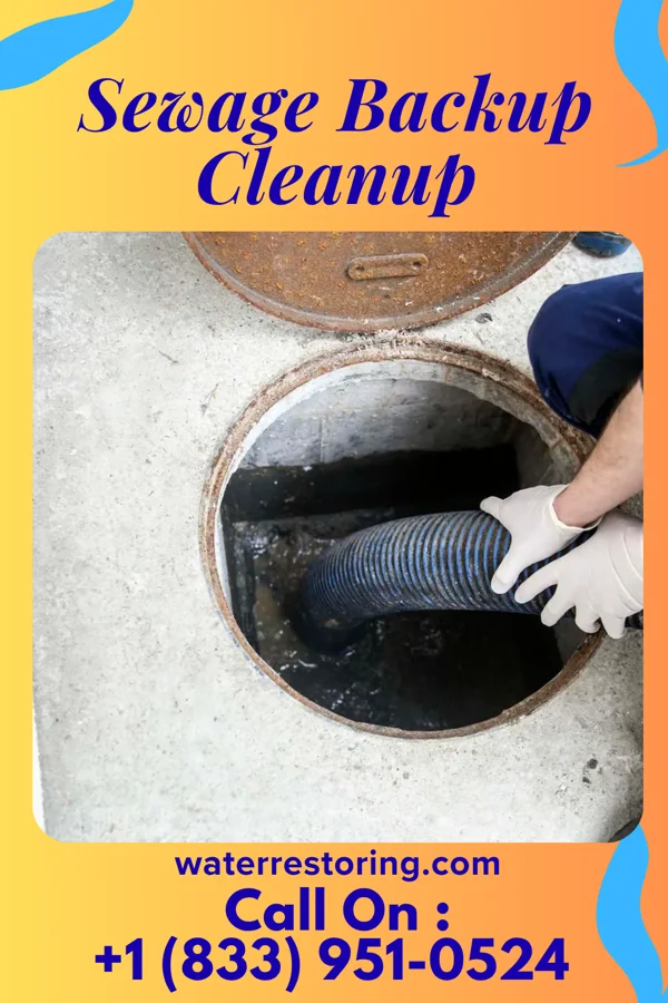 Sewage Backup Cleanup in Leland Grove, IL